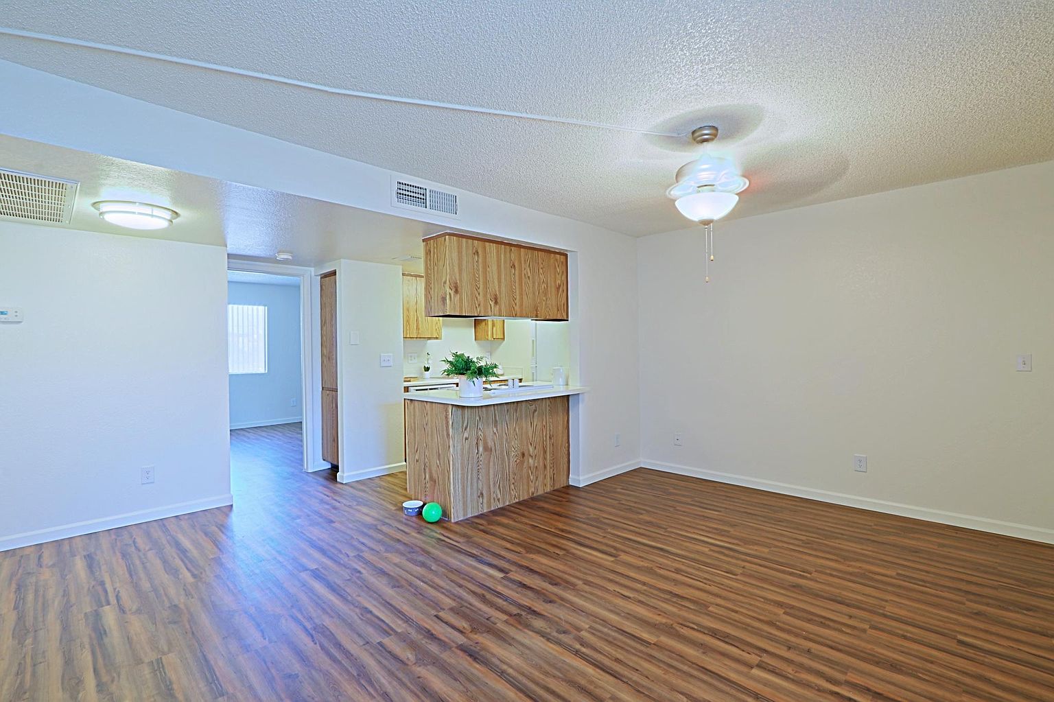 1235 S Dorsey Ln photo 3