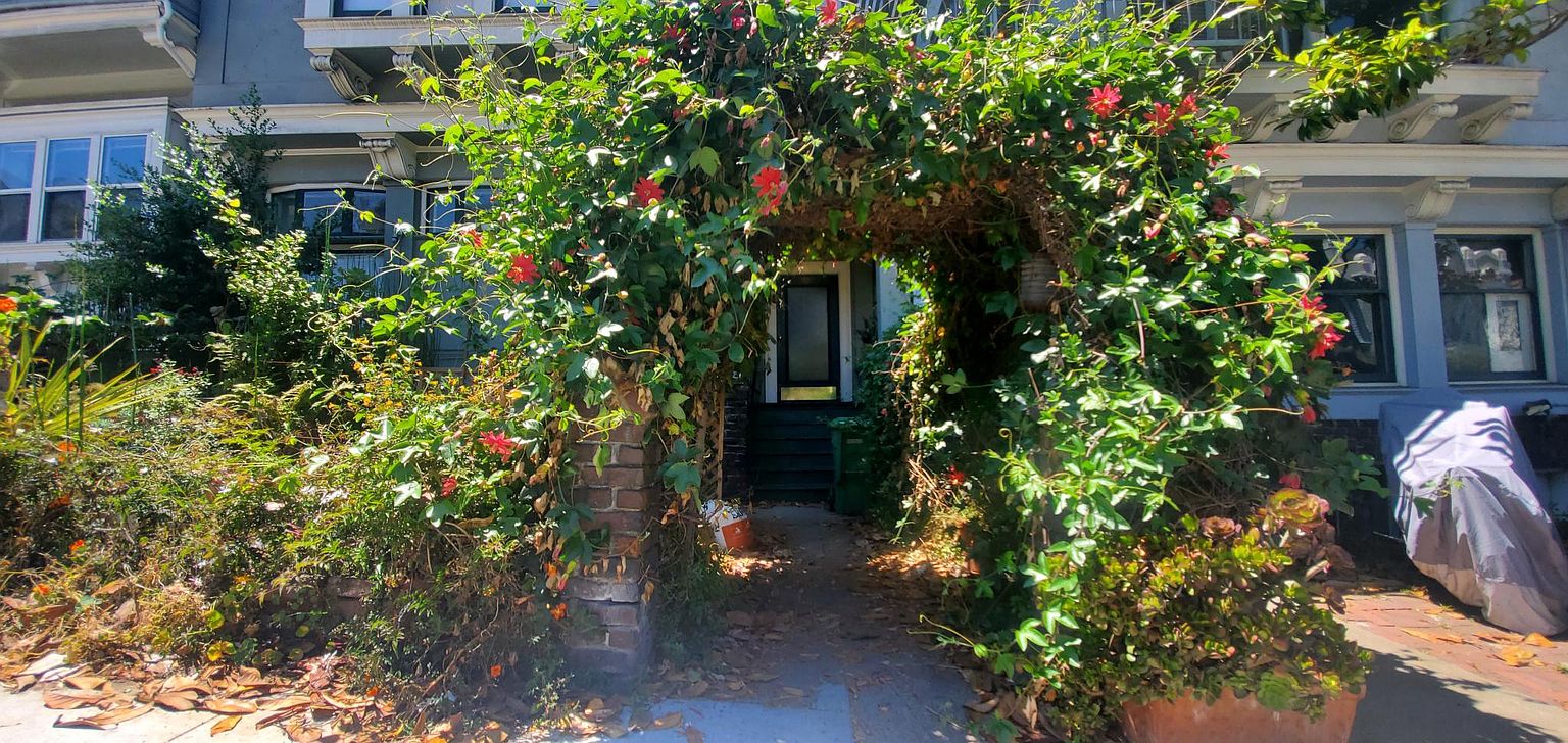 Others on Ashbury St · San Francisco photo 4