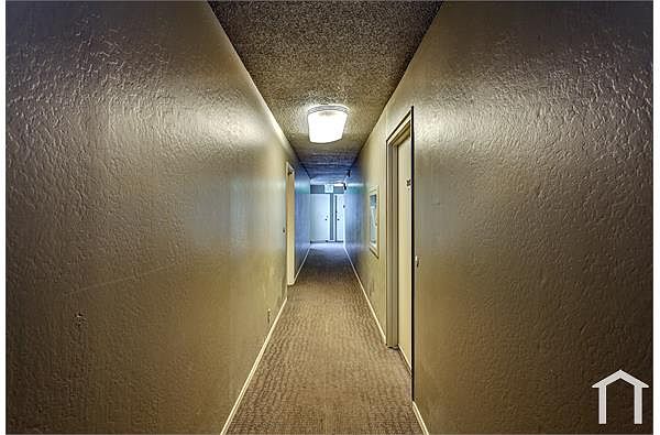 1BR/1BA Single Family House on 25th Ave · San Francisco photo 5