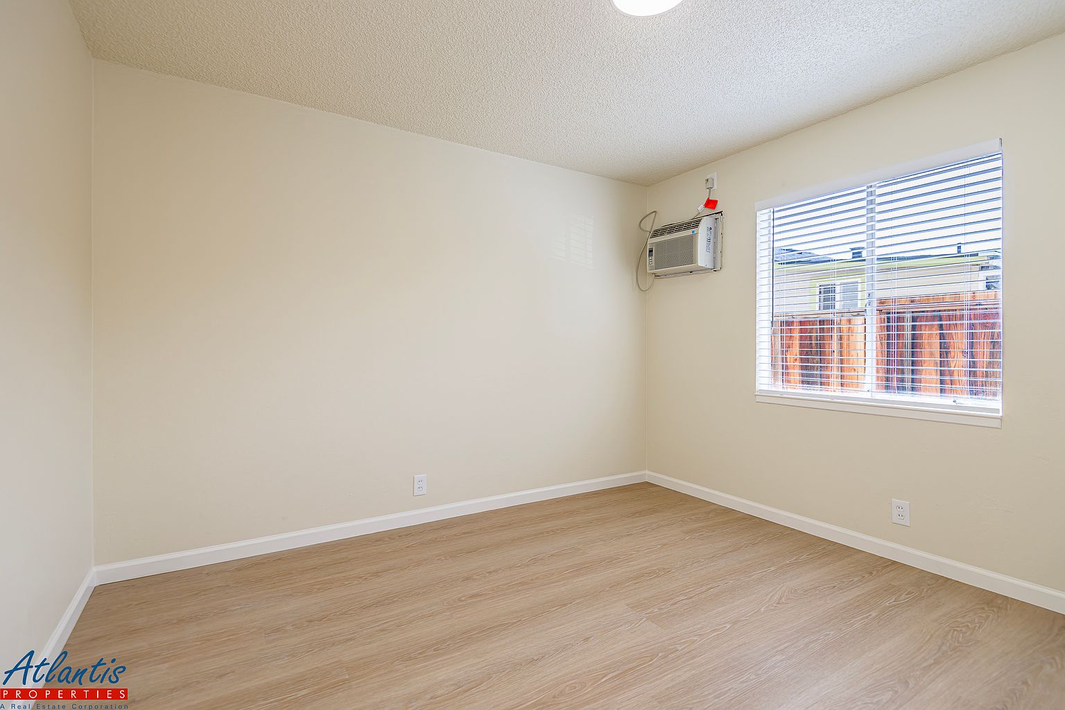 411 Clifton Ave photo 5