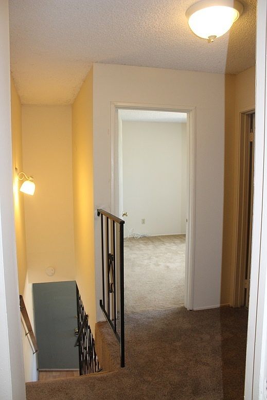 A photo 3