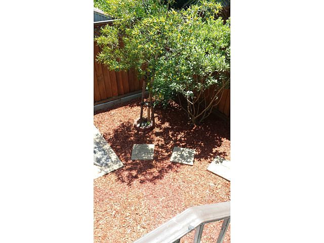 108 Balbach St photo 3