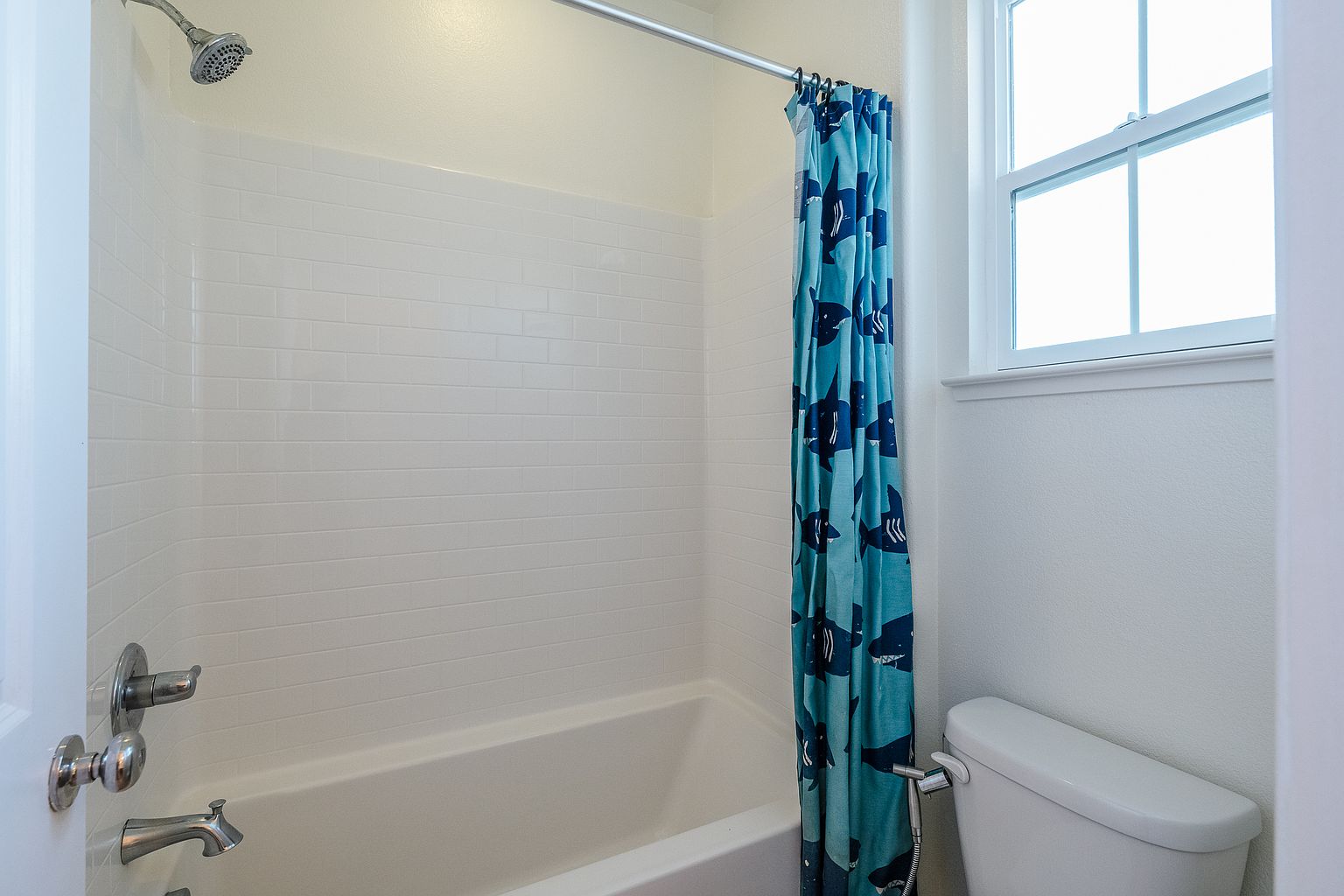 6576 Lopez Way photo 5