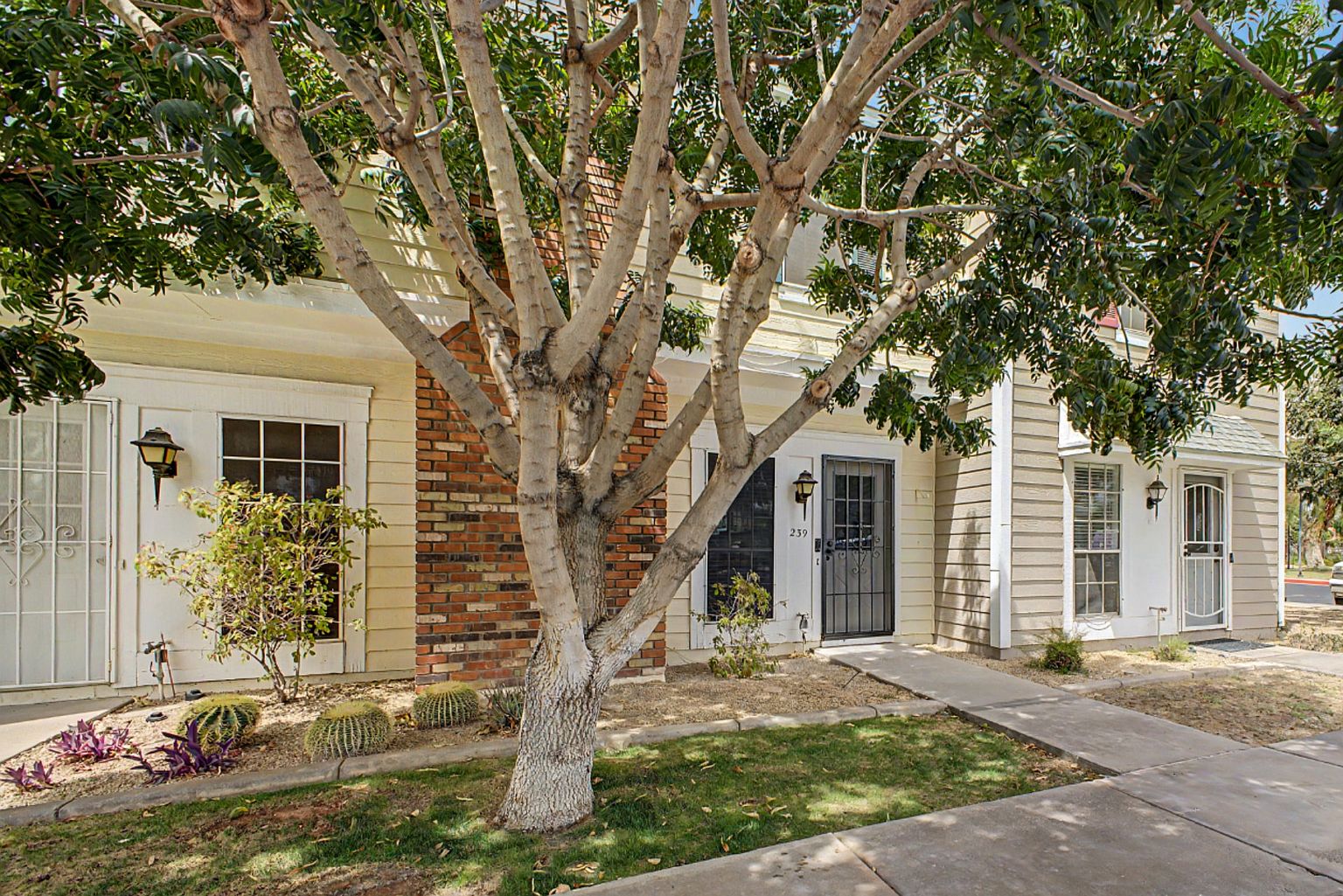 1601 N Saba St Chandler, AZ 85225 photo 2