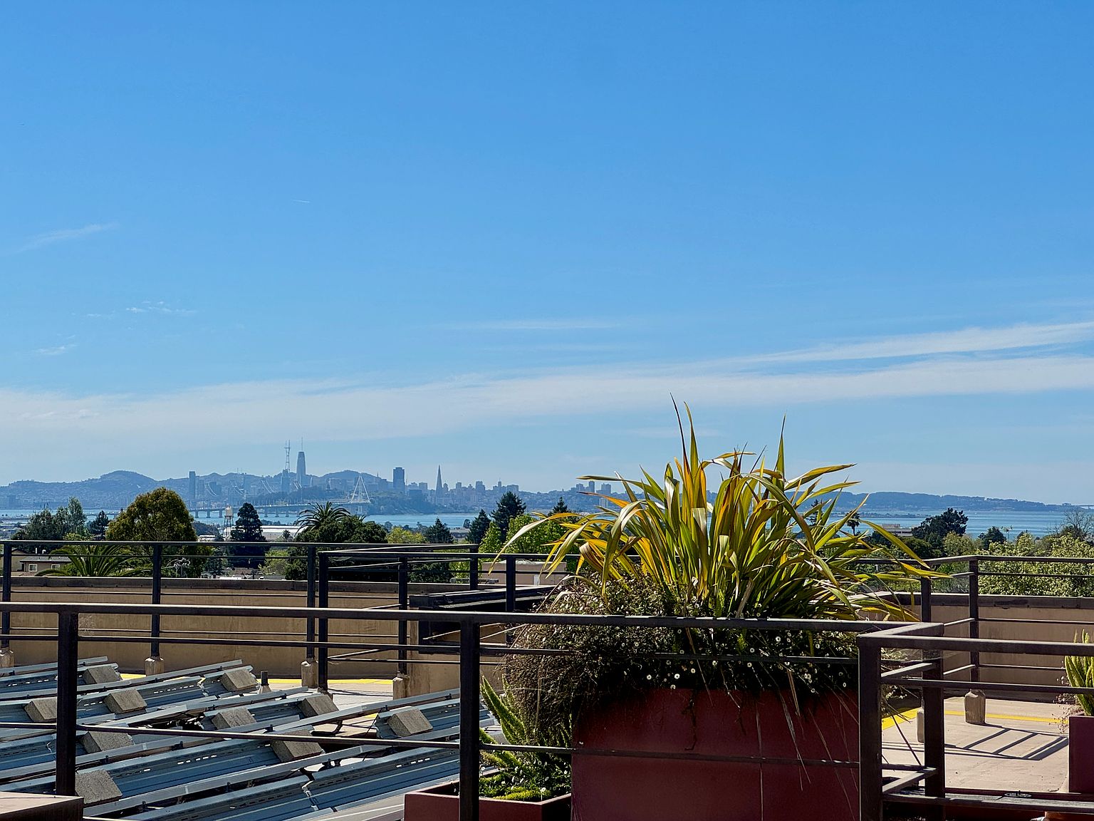 2029 Channing Way, Berkeley, CA 94704 photo 3