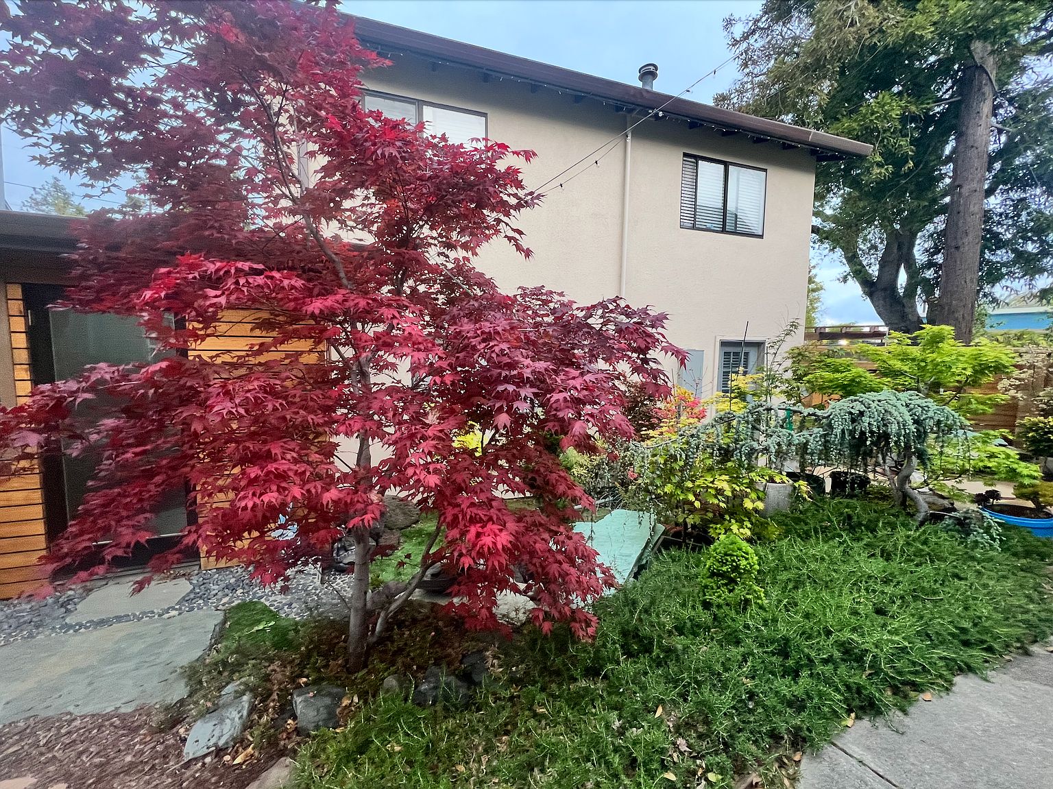 2075 Sacramento St photo 4