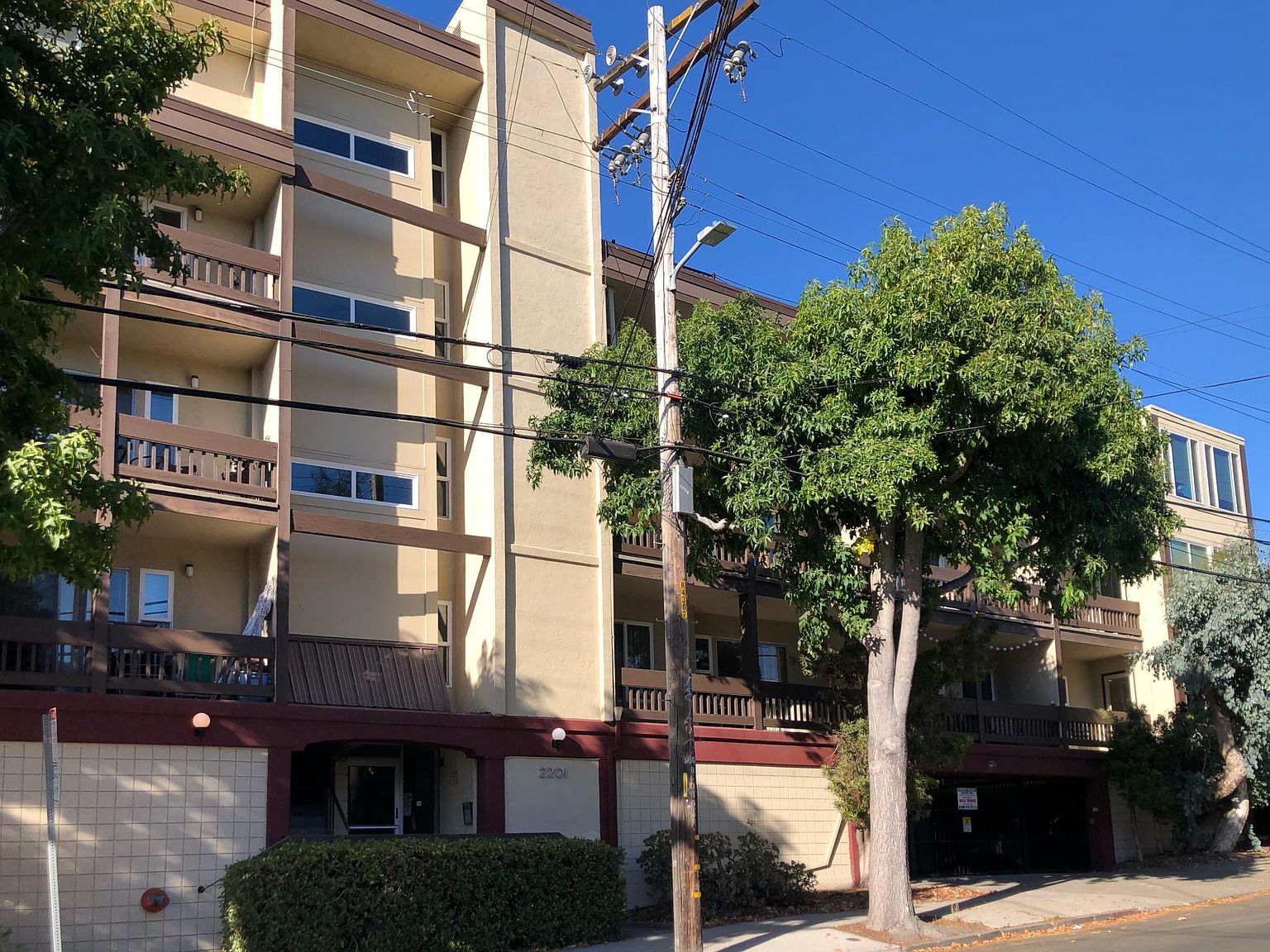 Condos on Virginia Street · Berkeley photo 2