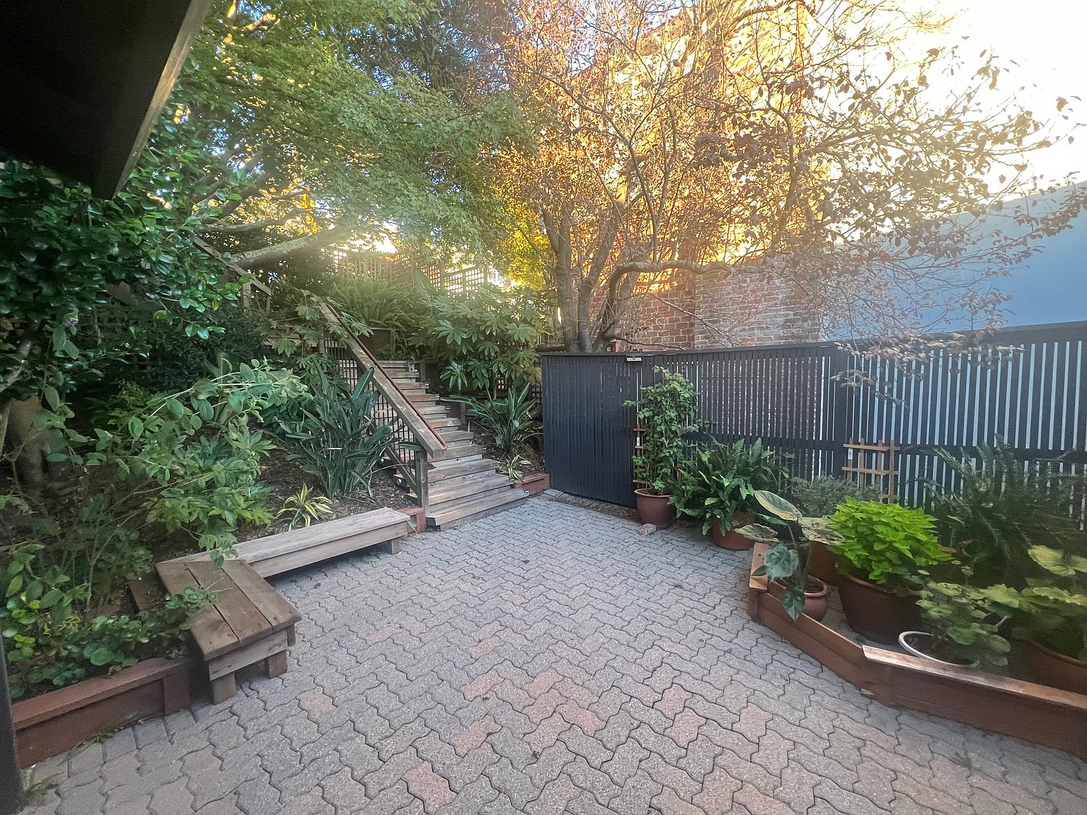 516 Cragmont Ave photo 3