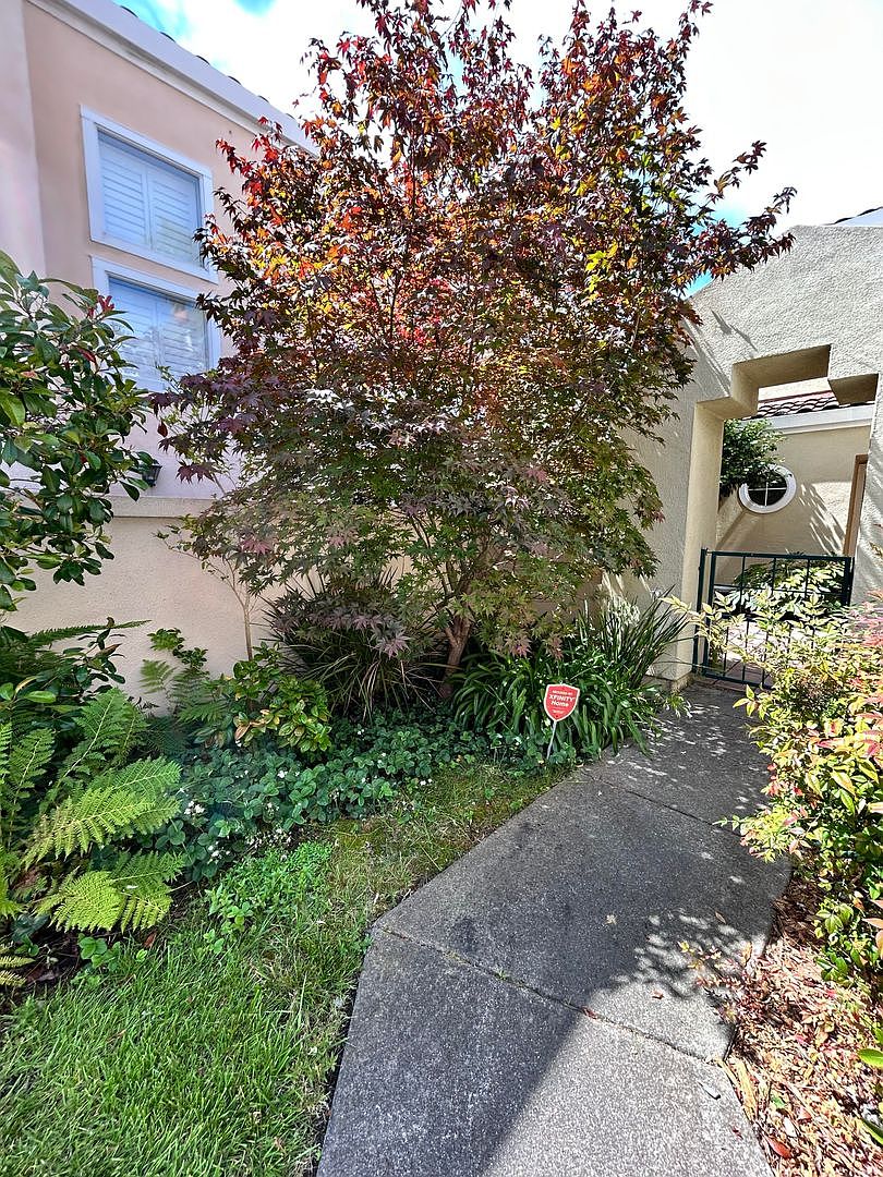 139 Cardigan Bay Alameda, CA 94502 photo 5