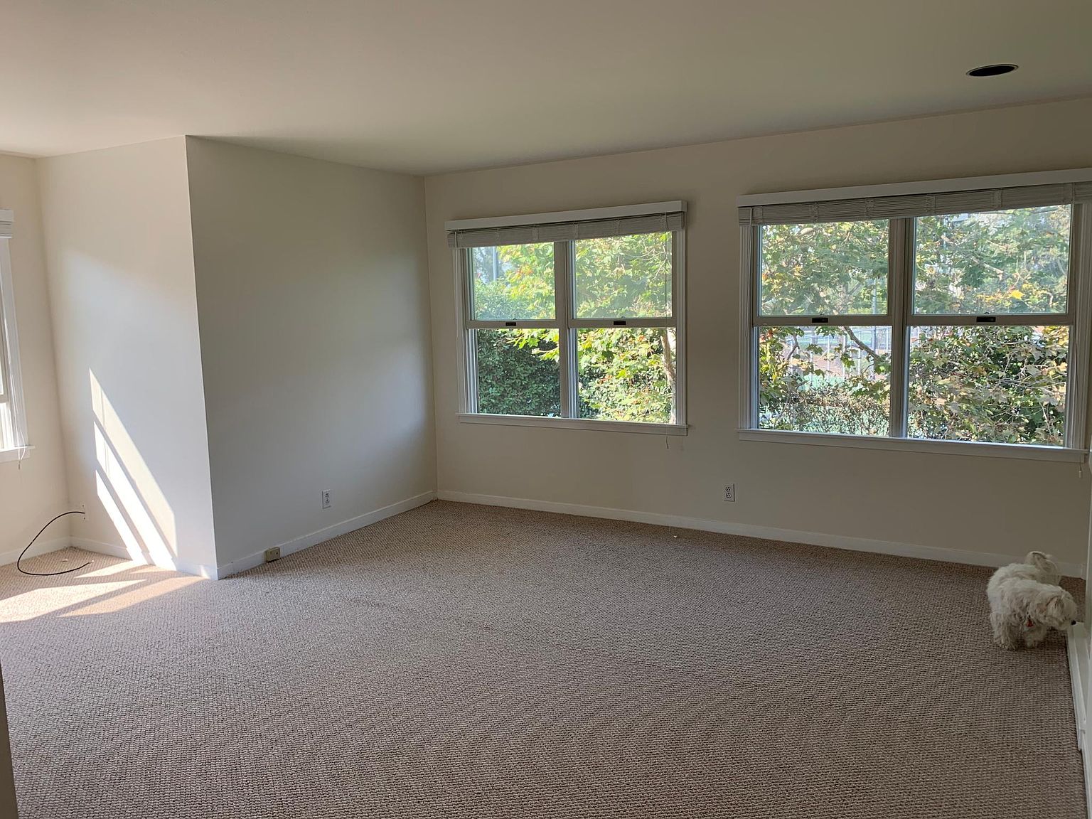 312 Centre Ct photo 3