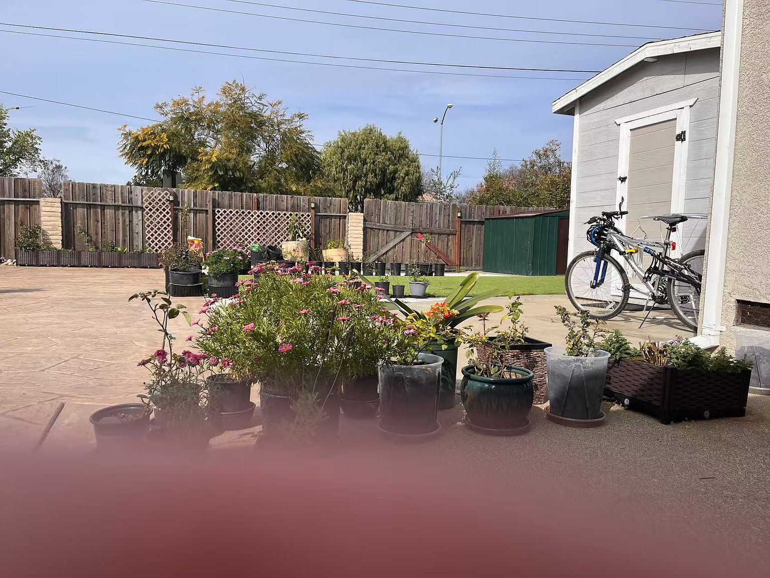 2903 Daisy St photo 3