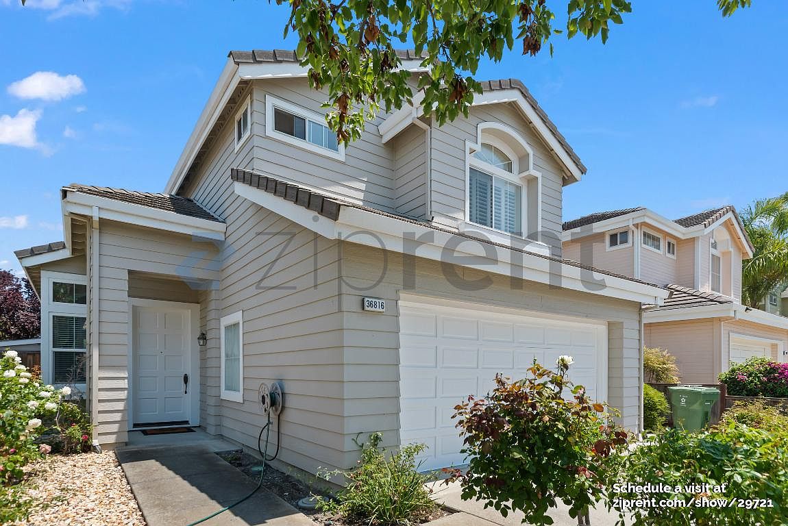 36816 Papaya St photo 5