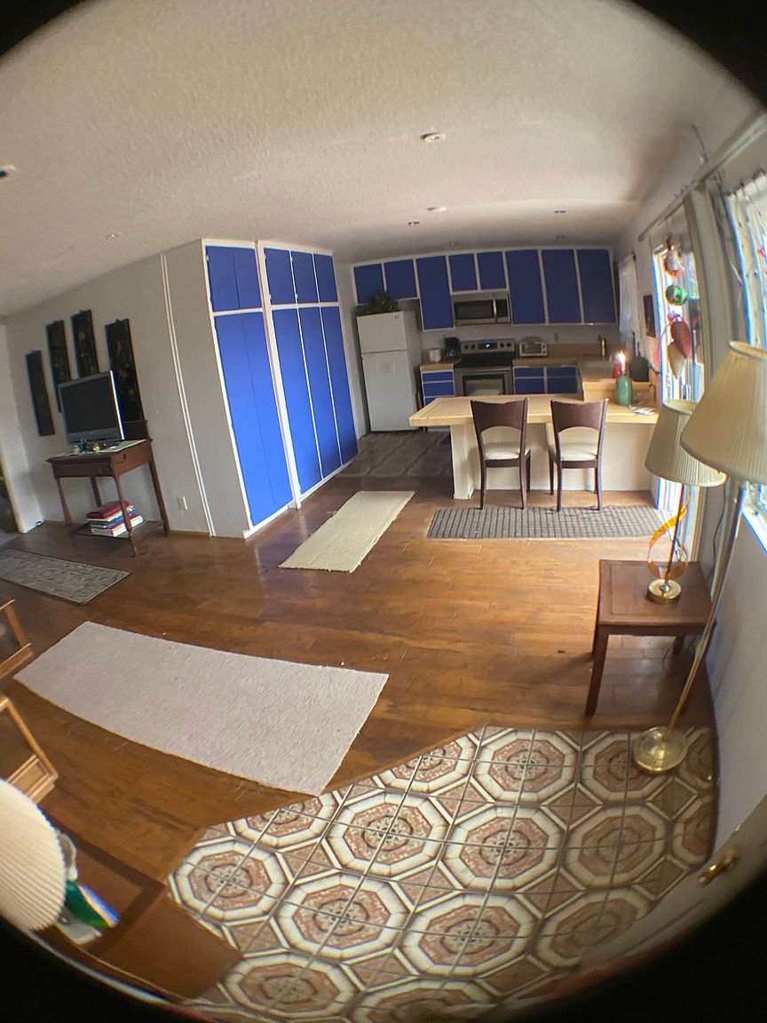 36866 Gum Ct photo 2