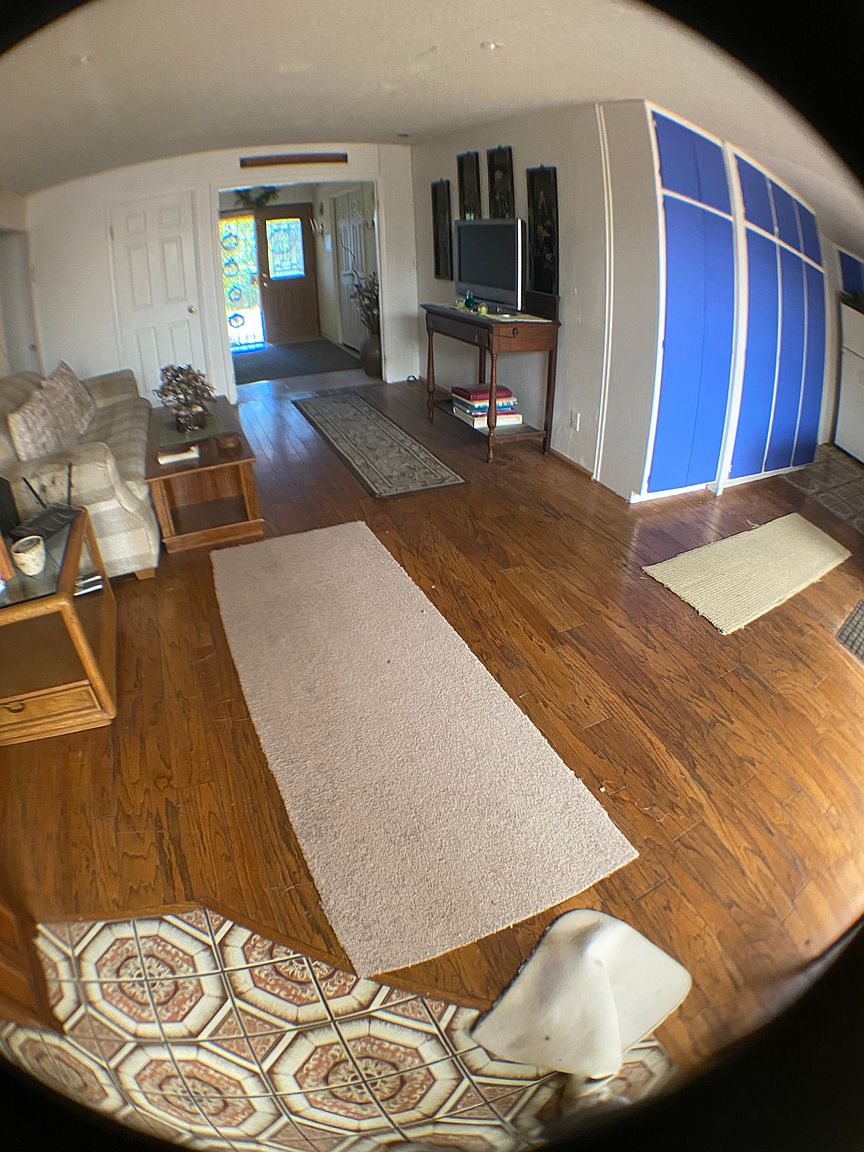36866 Gum Ct photo 5