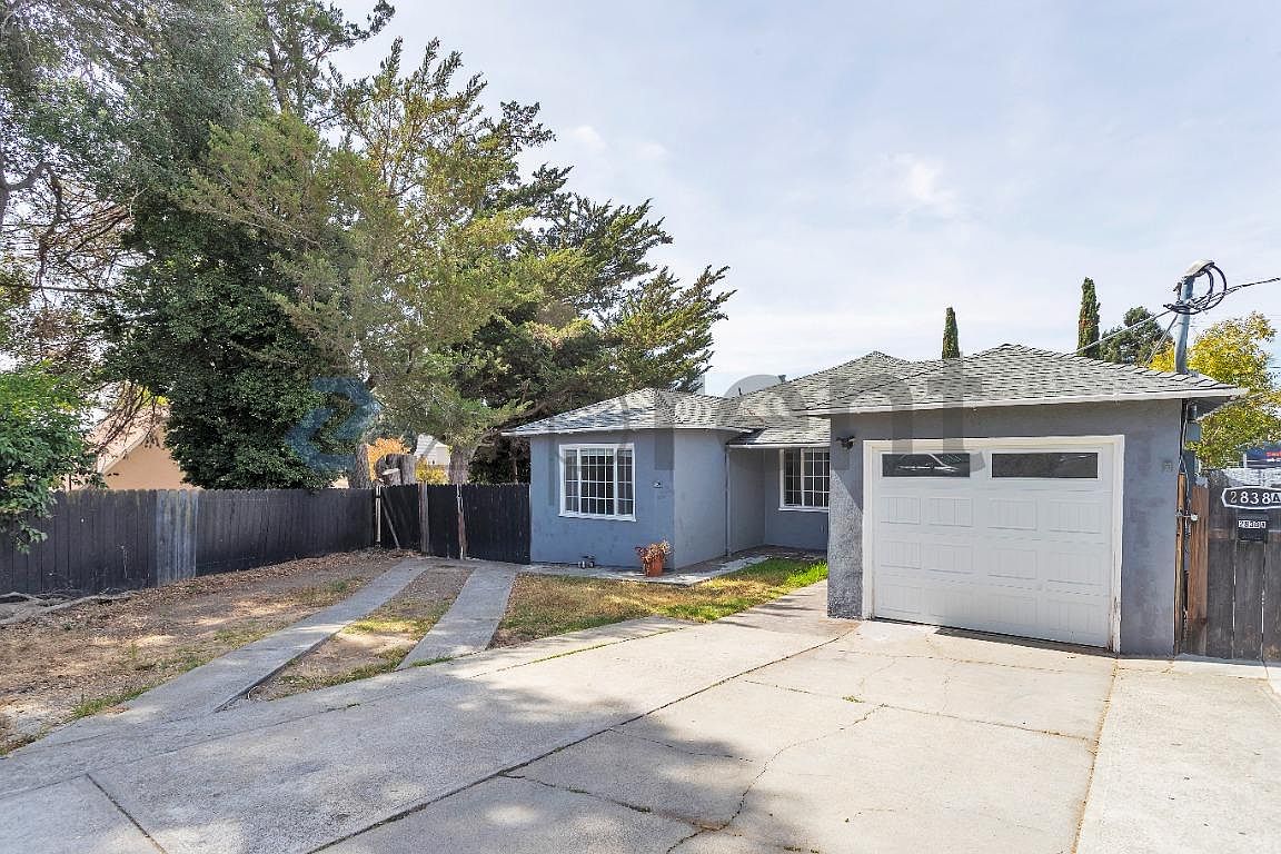 2838 Romagnolo St photo 3