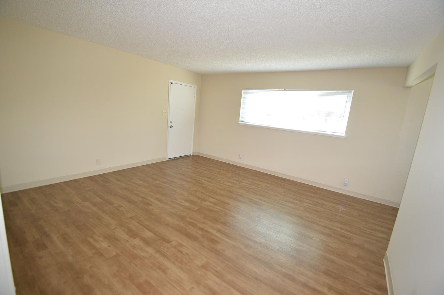 1130 Rex Rd photo 4