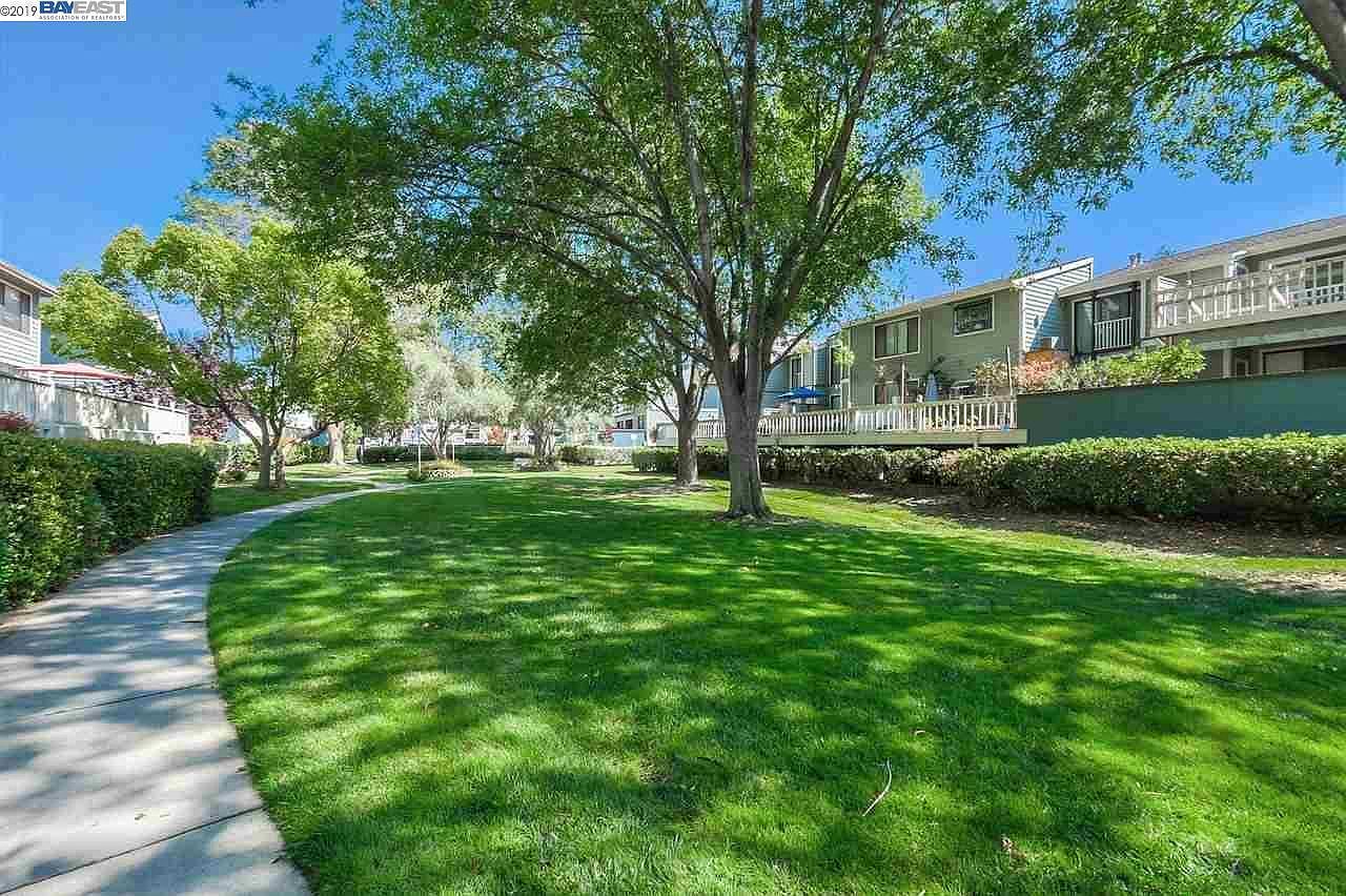 3454 Bridgewood Ter photo 5