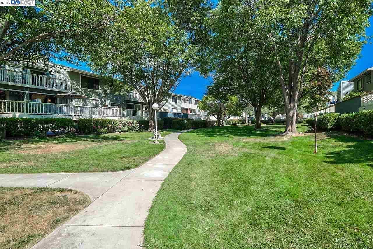 3454 Bridgewood Ter photo 3