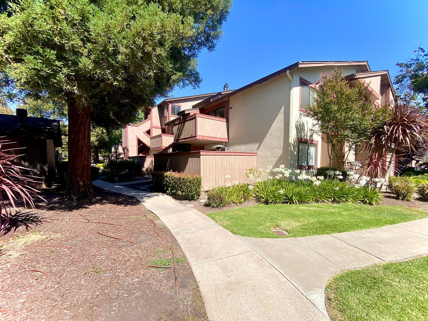 250 Hackamore Cmn photo 2