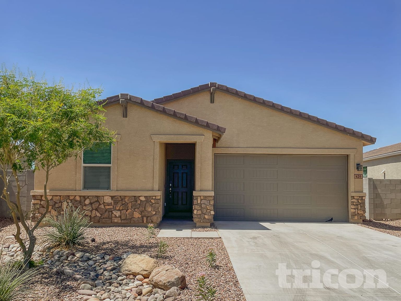 439 W Tenia Trail San Tan Valley, AZ 85140 photo 2