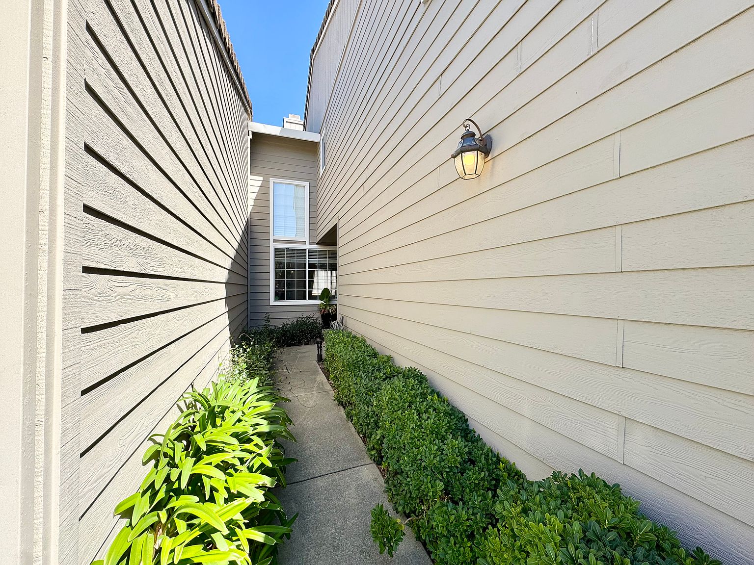 11456 Winding Trail Ln photo 3