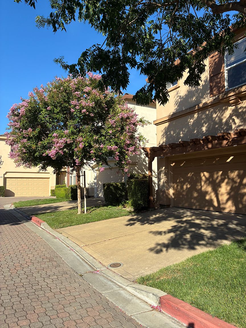 5107 Bianco Ct photo 4