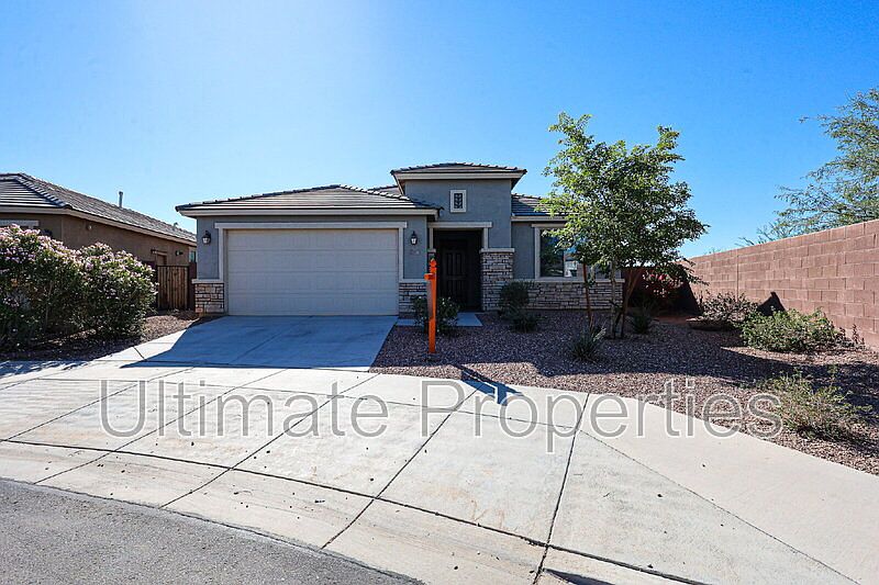 25805 N 161st Dr photo 3