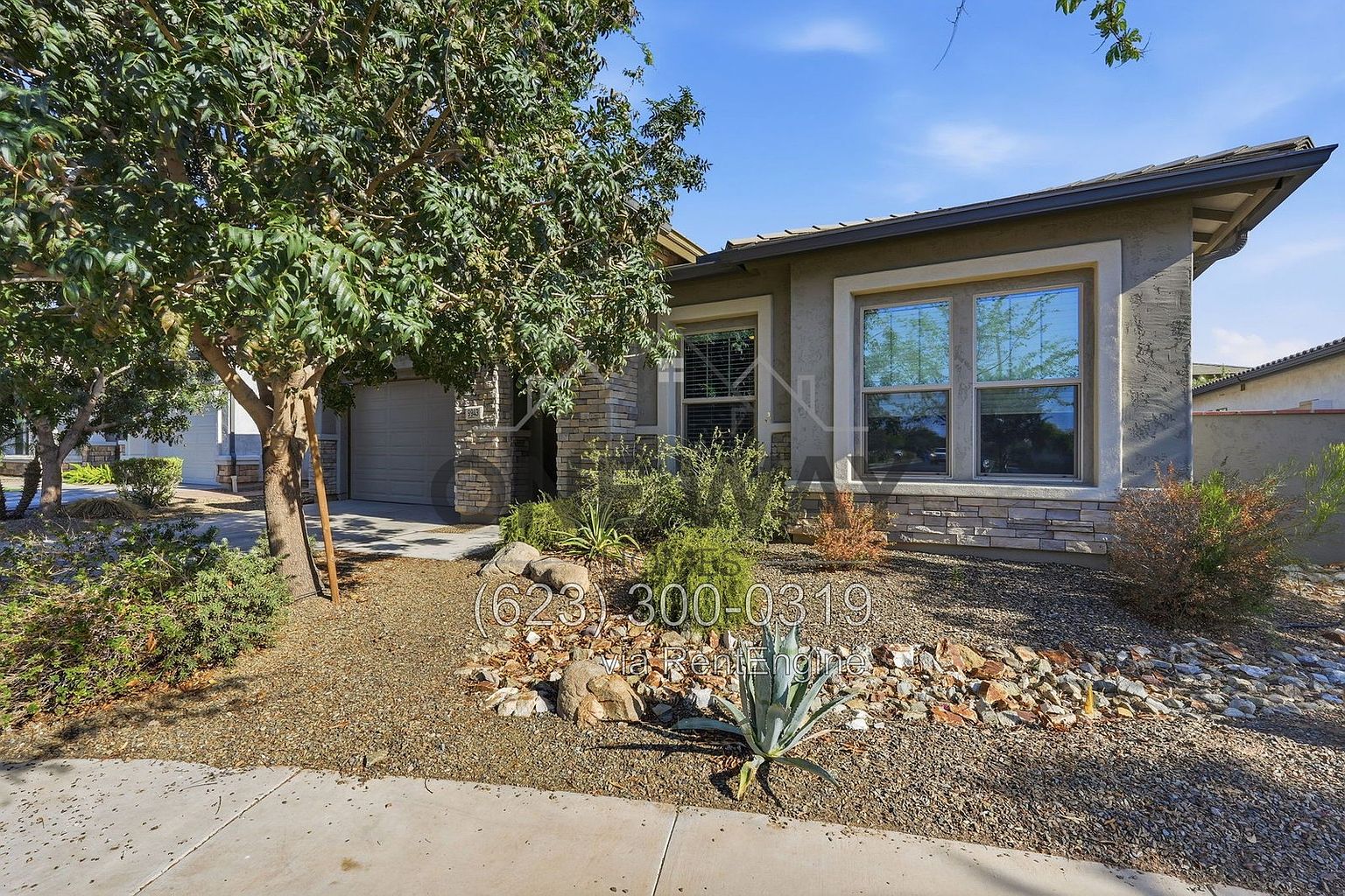 9943 E Tumeric Ave photo 5
