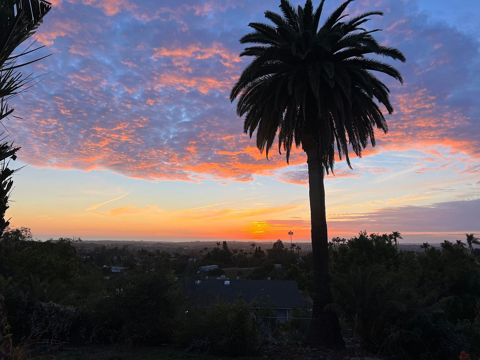 350 Sunrise Cir photo 3
