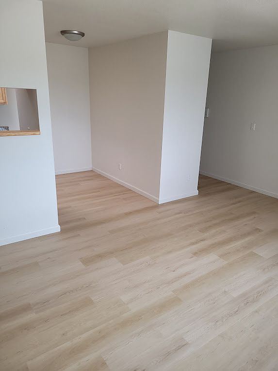1234 Solano Ave photo 3