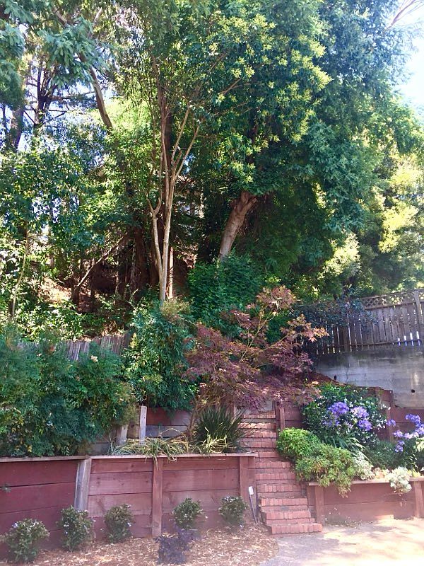 19 Stetson Ave photo 5