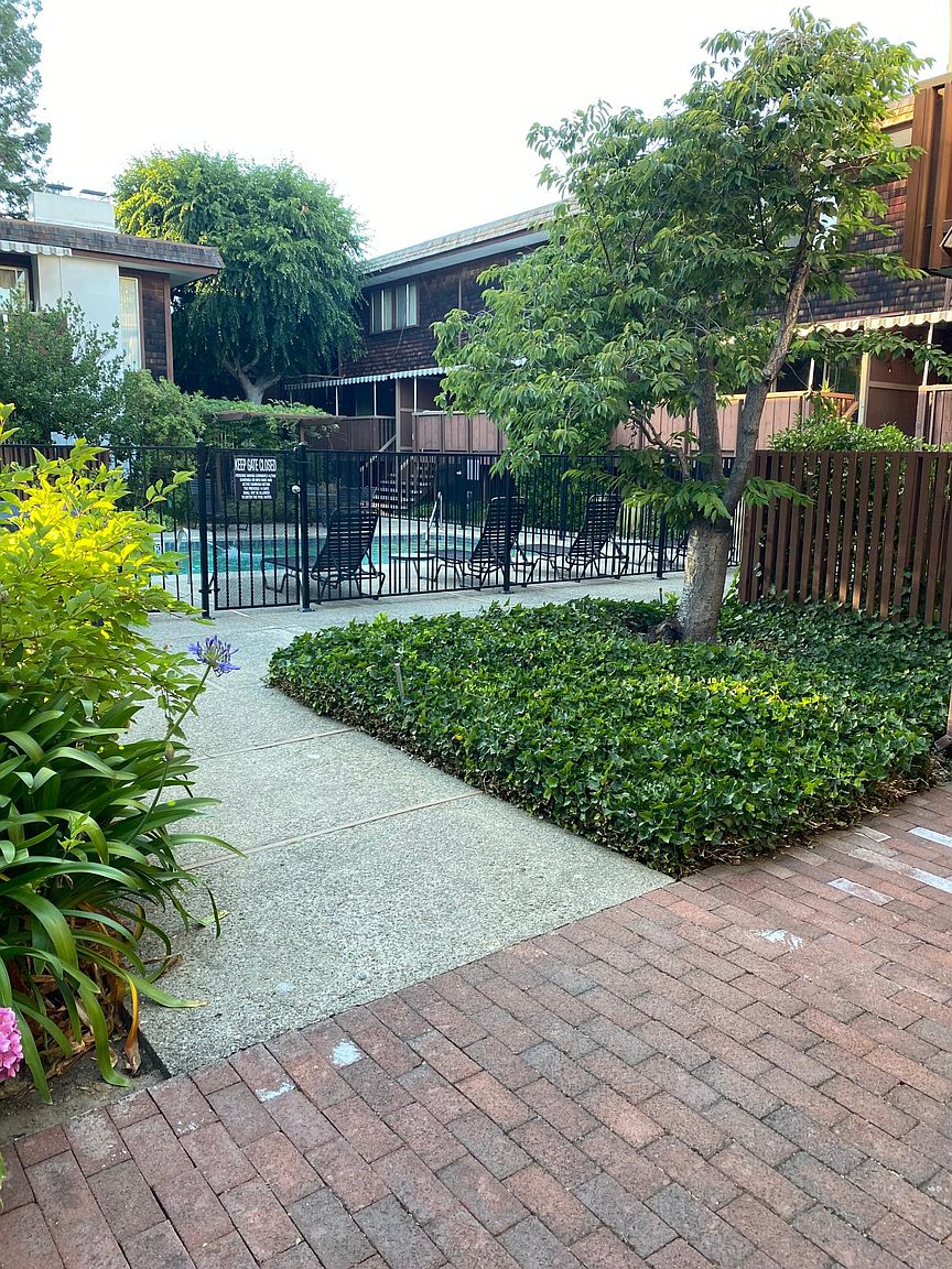 1BR/1BA Apartment on Homer Avenue · Palo Alto photo 3