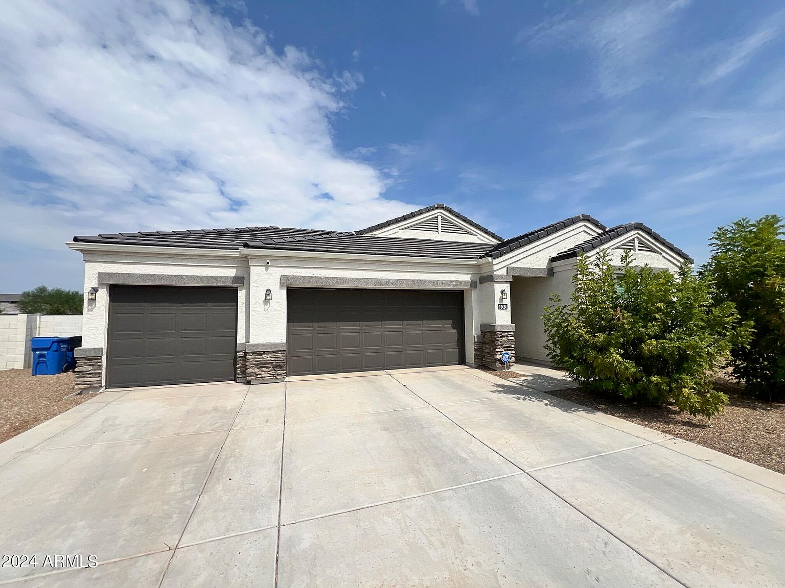 10424 S 54th Ln photo 3