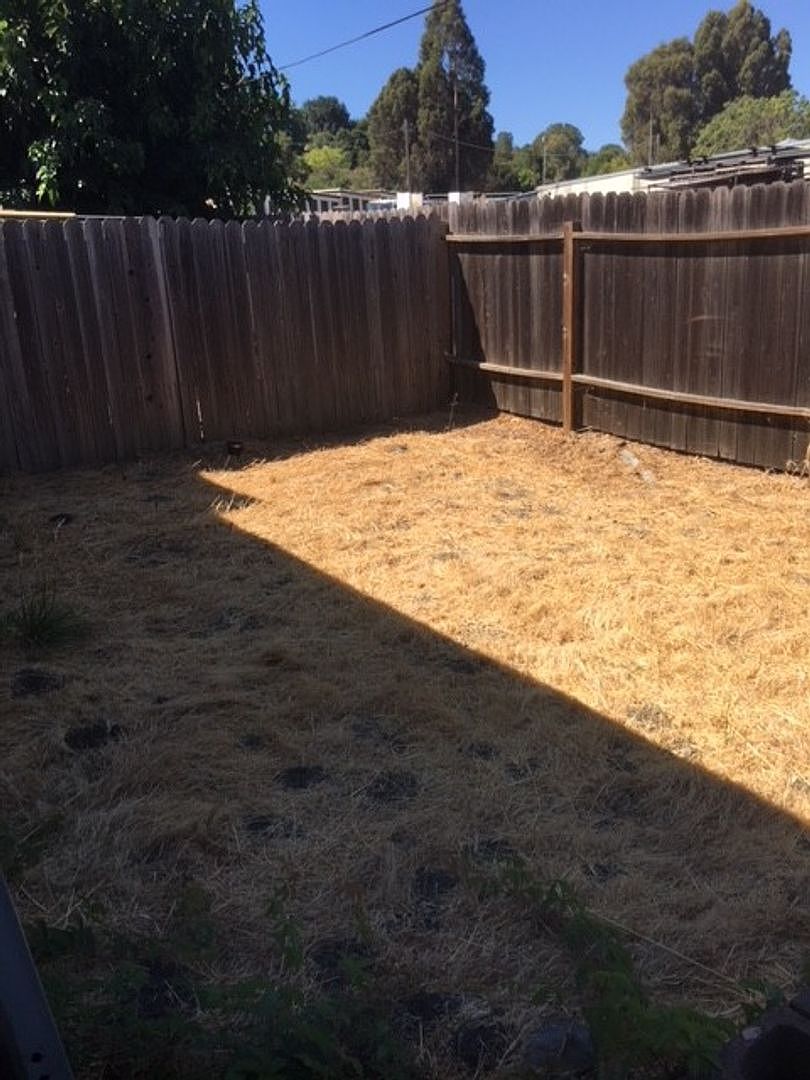 3570 Pacheco Blvd unit 3 photo 5