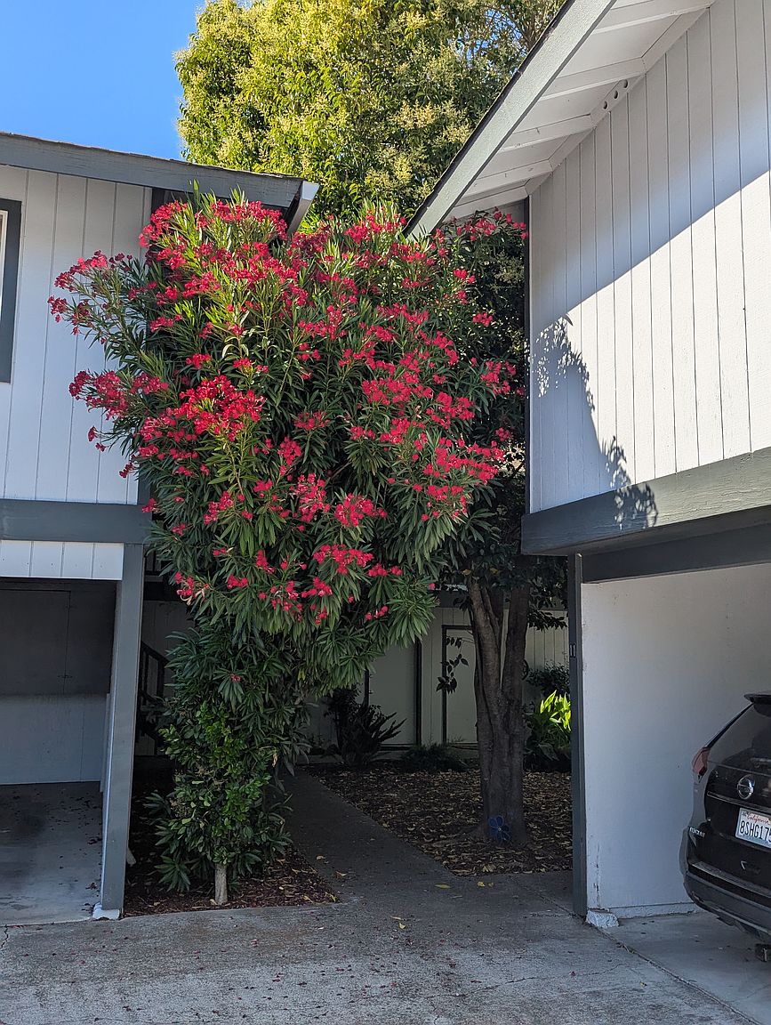877 Sonoma Ave photo 2