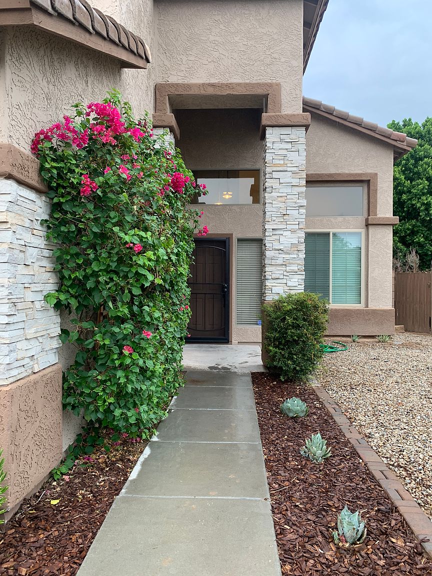9250 W Lone Cactus Dr photo 4