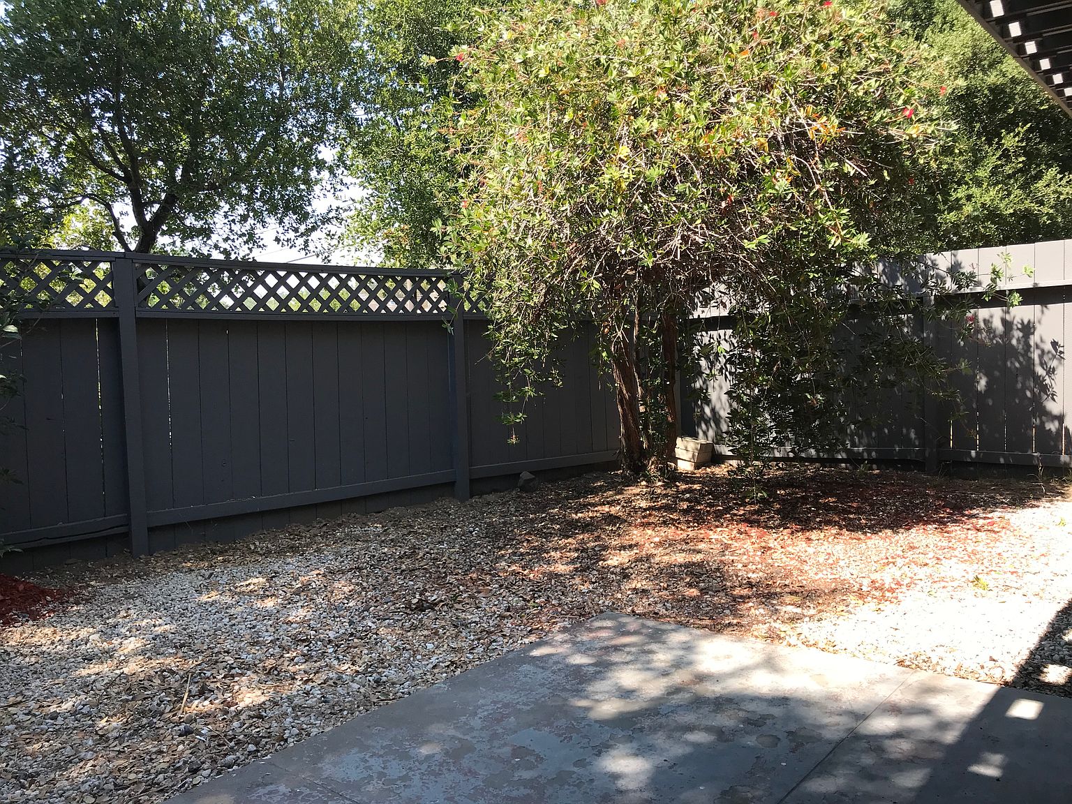 1BR/1BA Apartment on Alameda De Las Pulgas · Belmont photo 3