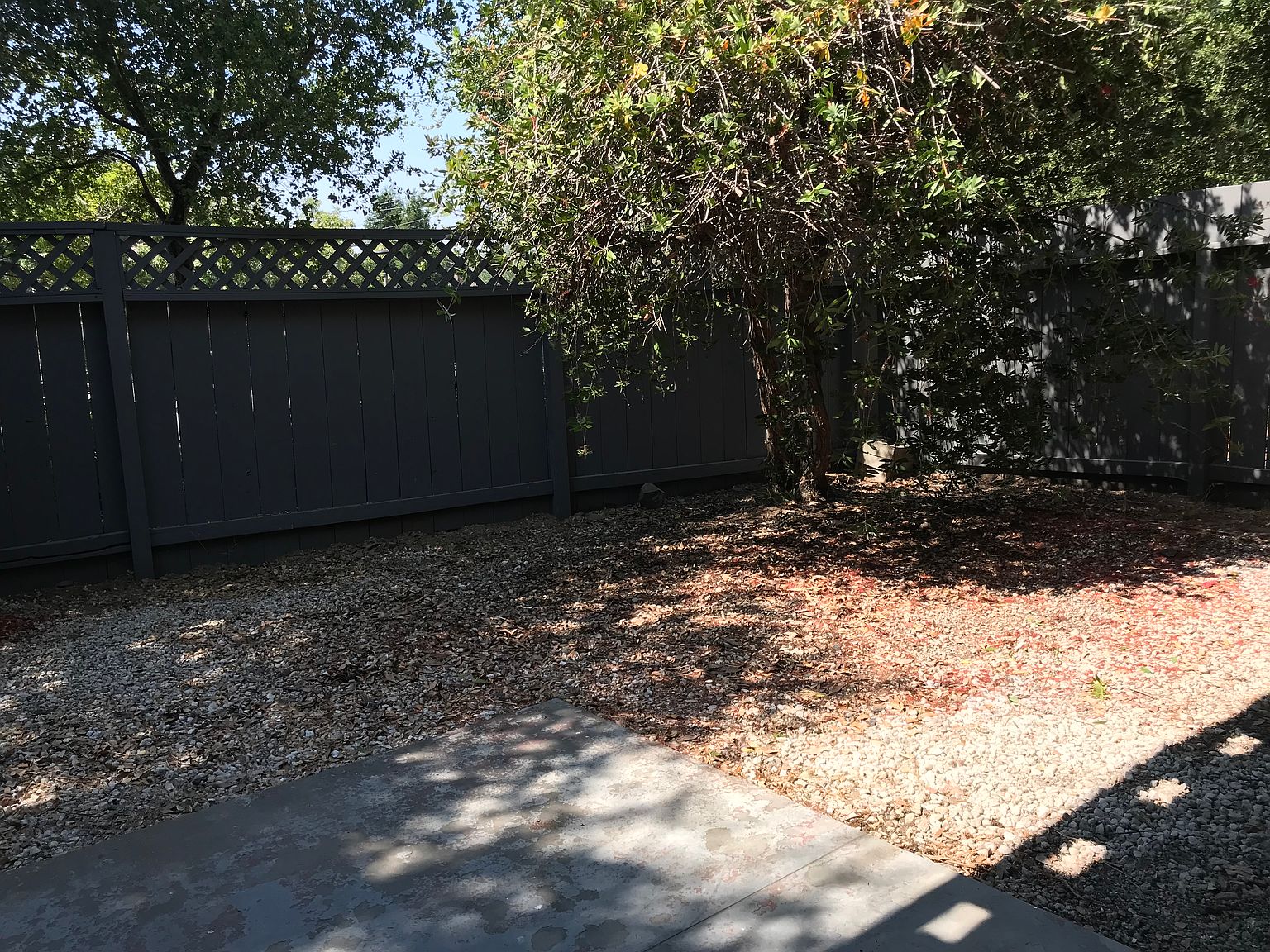 1BR/1BA Apartment on Alameda De Las Pulgas · Belmont photo 2