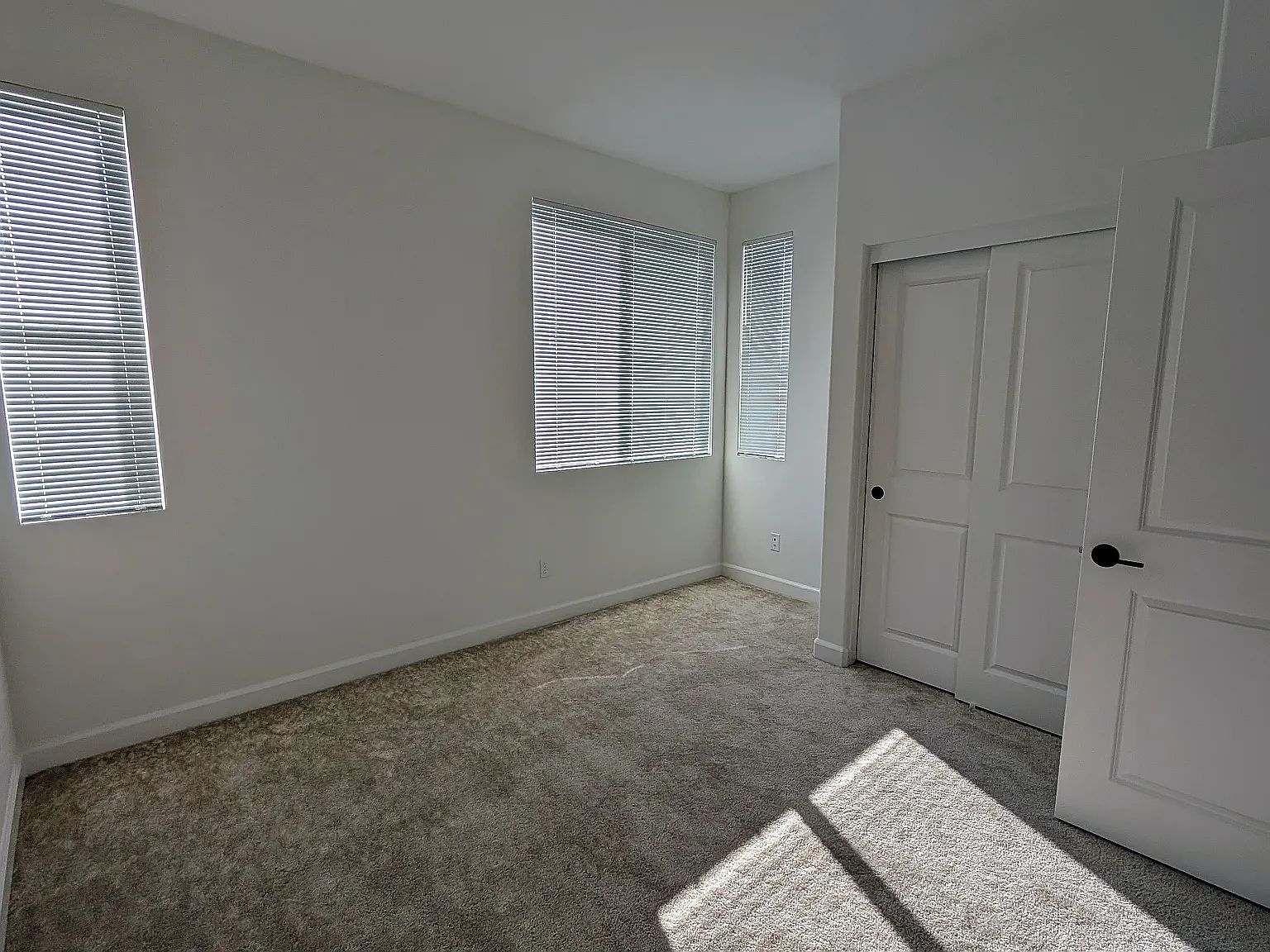 14168 Jonah Way photo 5