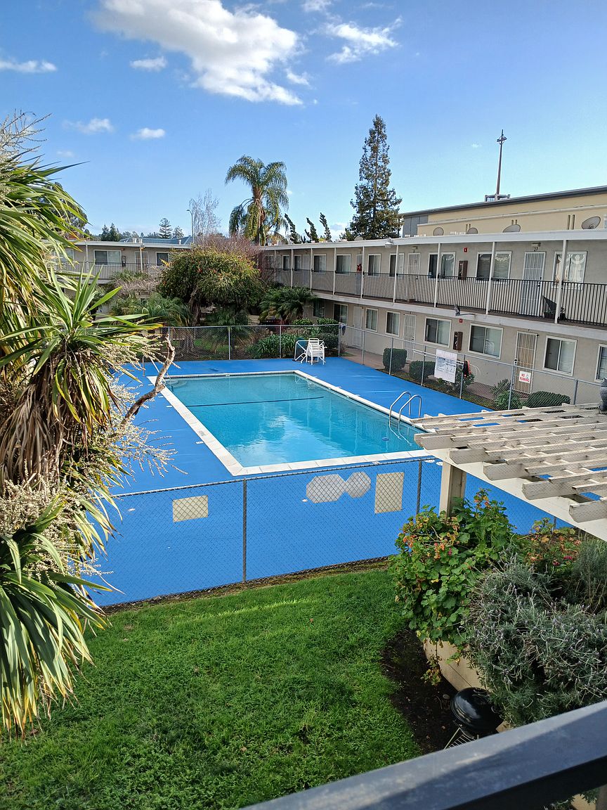 Olive Grove Apartments photo 2