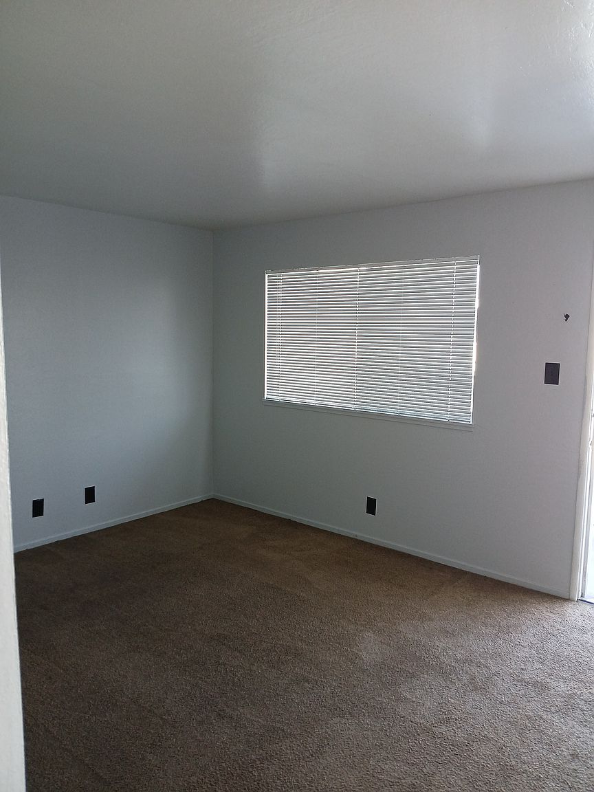 Olive Grove Apartments photo 5