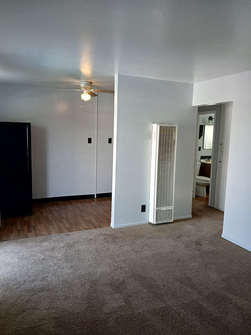 Olive Grove Apartments photo 4