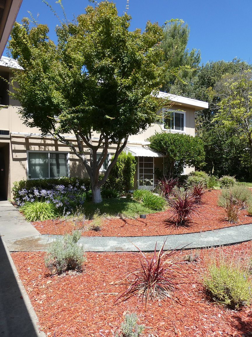 145 Sierra Dr photo 4