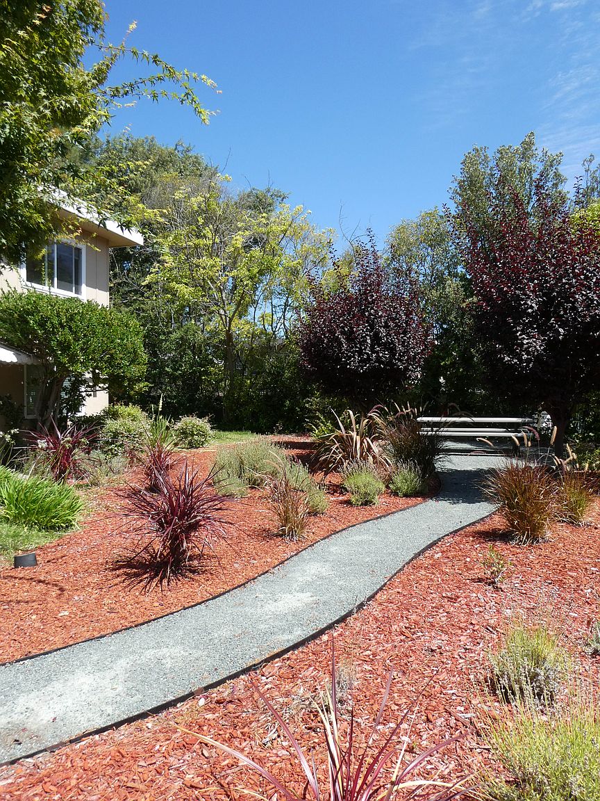 145 Sierra Dr photo 5