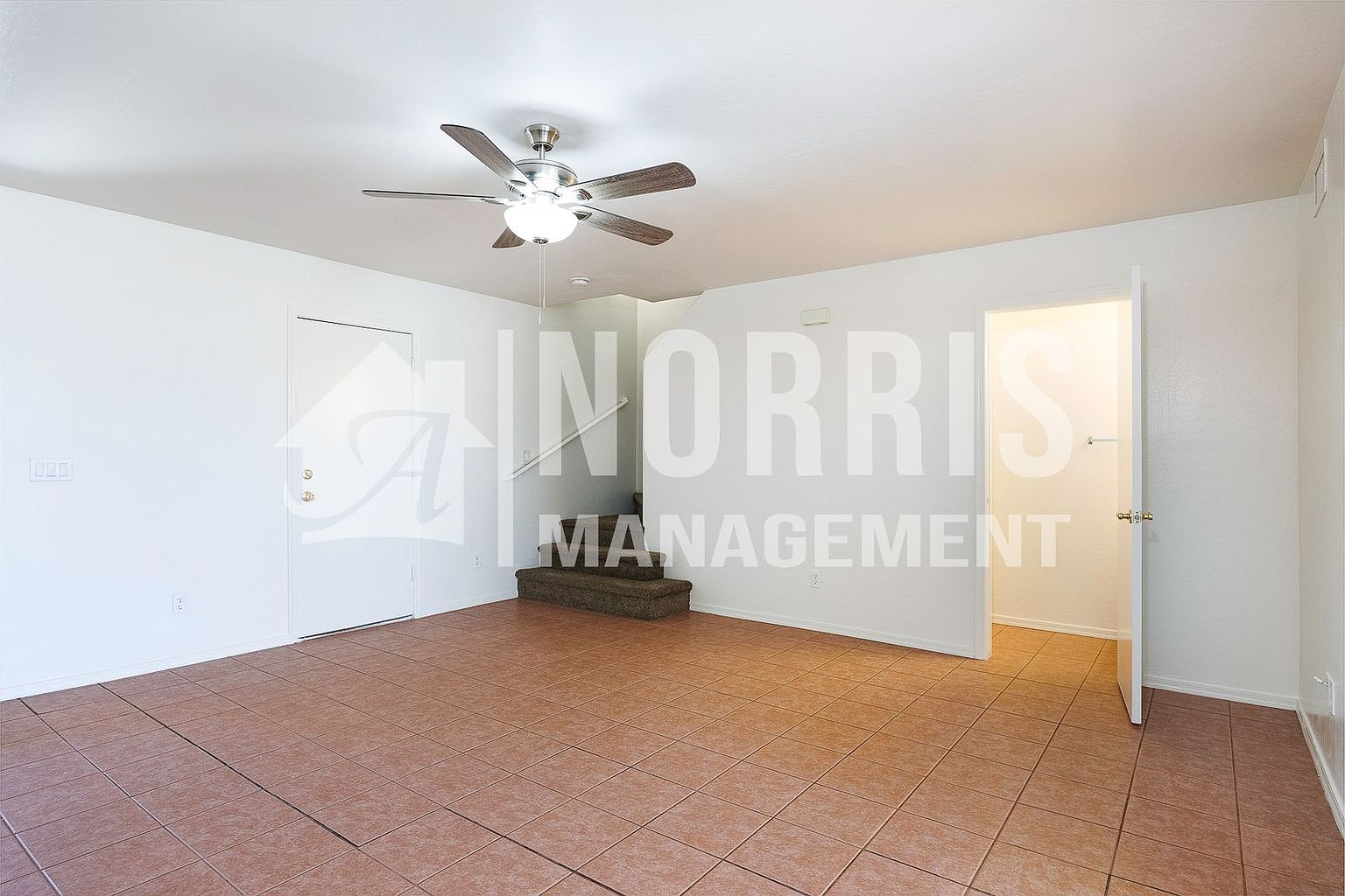 4 595 photo 5