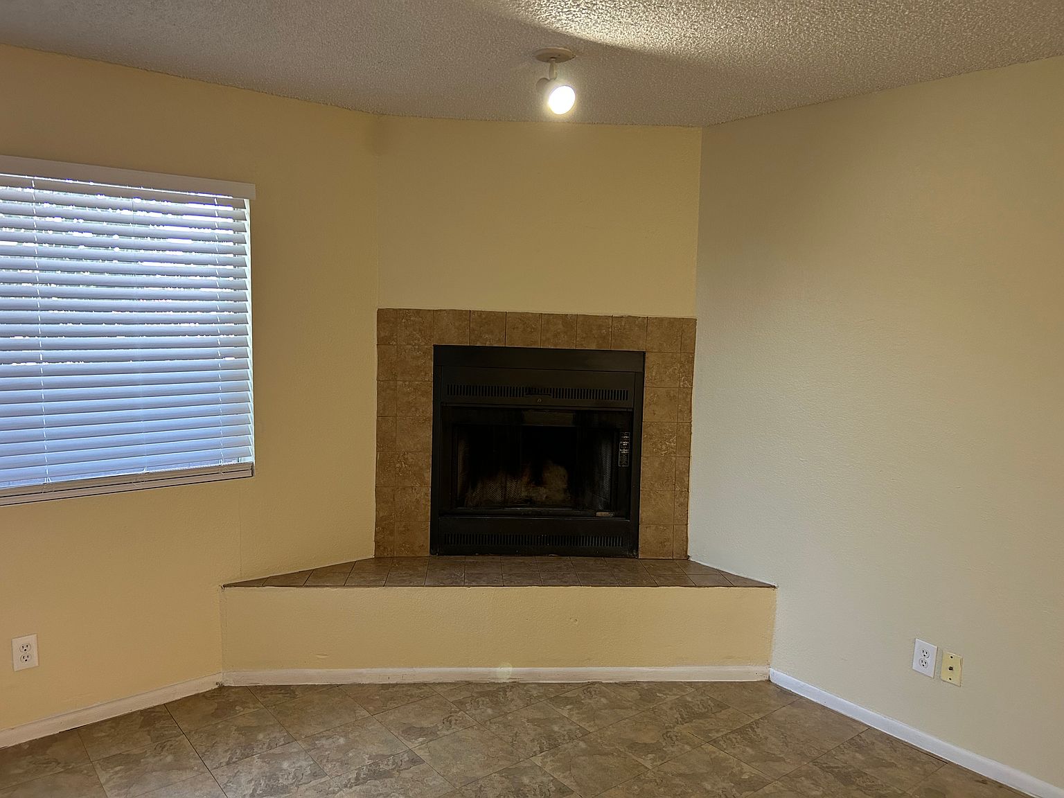 5223 W Myrtle Ave photo 5