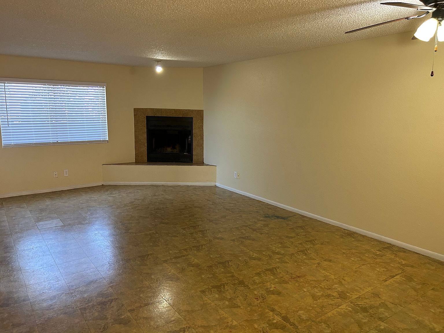 5223 W Myrtle Ave photo 4