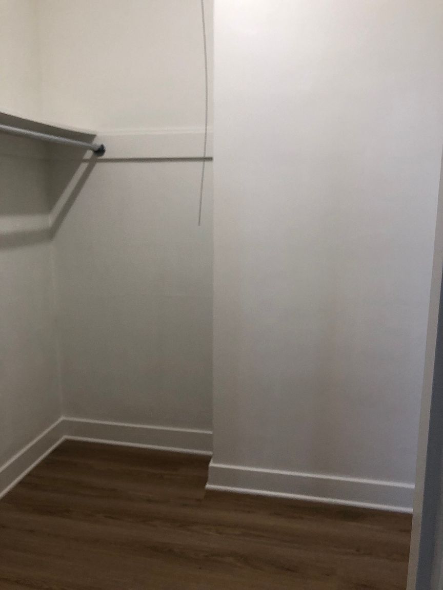 Chestnut Street Apartments photo 5