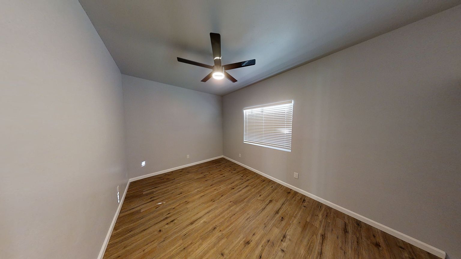 1007 Hornblend St photo 5