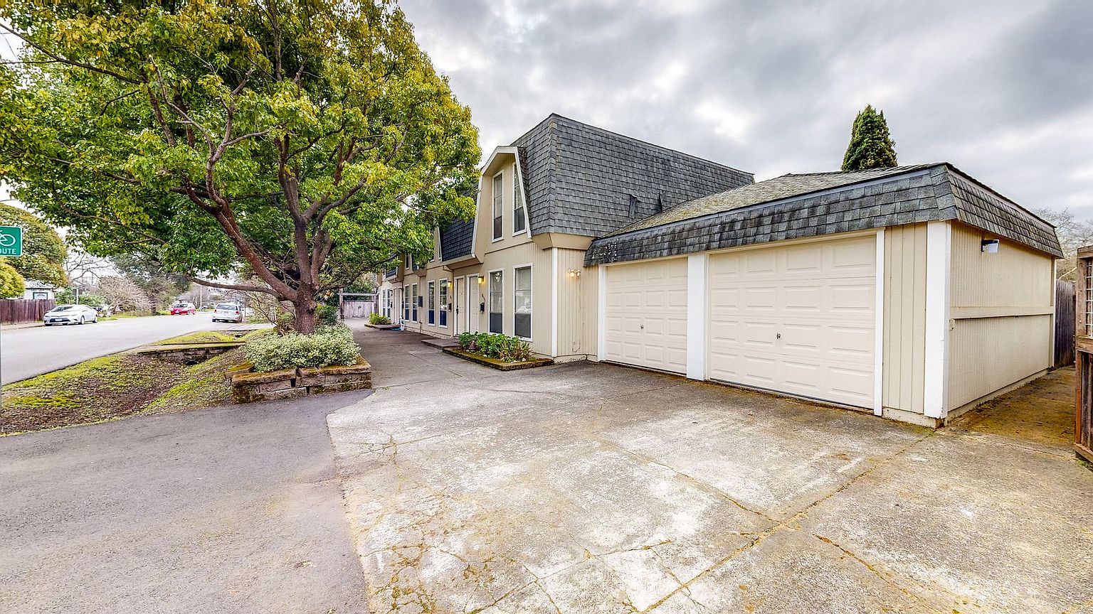 8155 photo 5